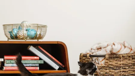 a cat standing next to a basket