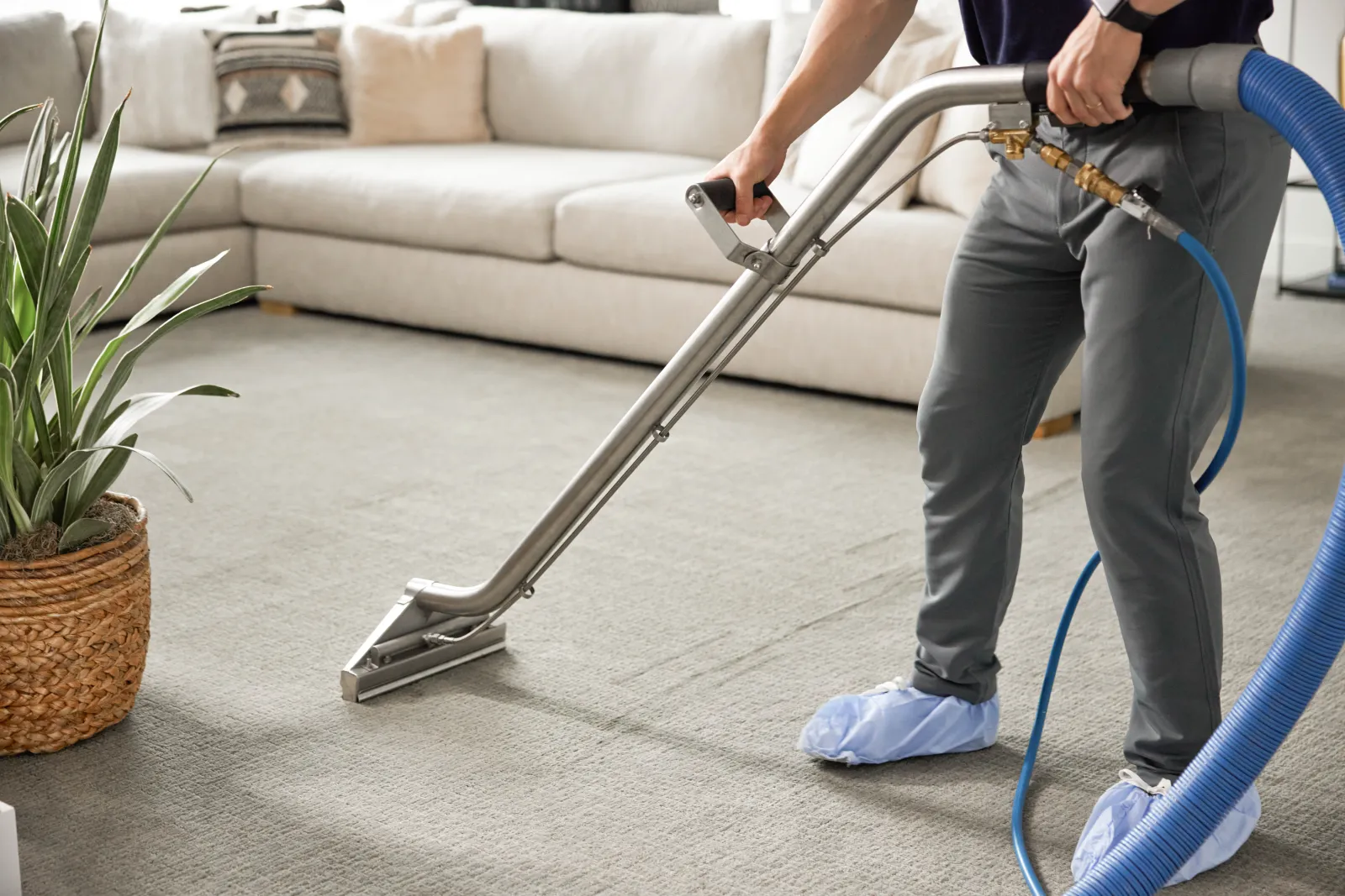 carpet wand cleaning on gray carpet