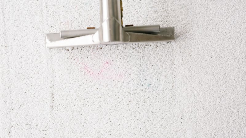 Zerorez Zr WandĀ® cleaning stained discolored carpet
