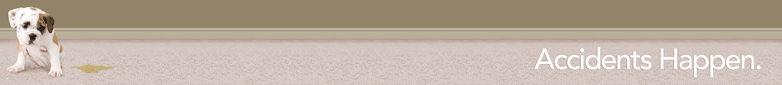 Pet Urine on Carpet